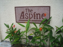 The Aspine #1017322